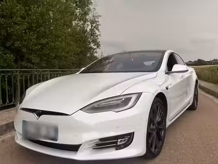 Tesla Model S Long Range Plus 670 4x4