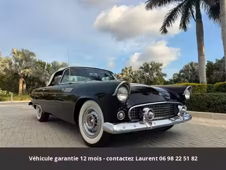 Ford Thunderbird V8 4.8