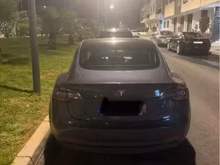 Tesla Model 3 Standard Plus 275