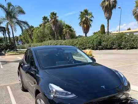 Tesla Model Y Standard