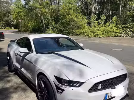 Ford Mustang Fastback 2.3 314