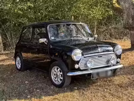 Rover Mini 1.3
