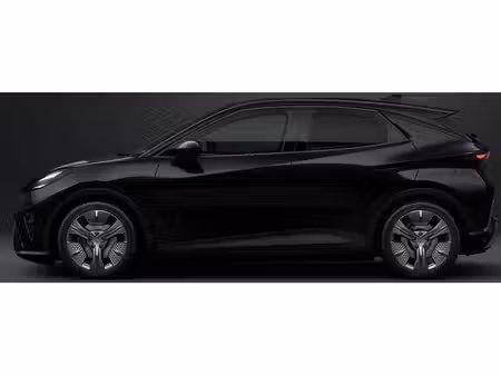 Cupra Raval 135