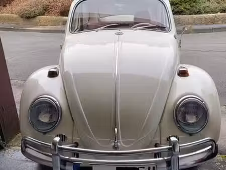 Volkswagen Beetle 1.5