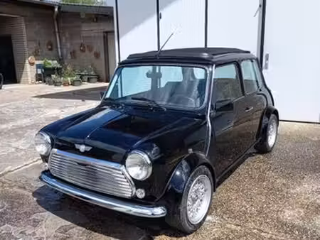 Rover Mini 1.3