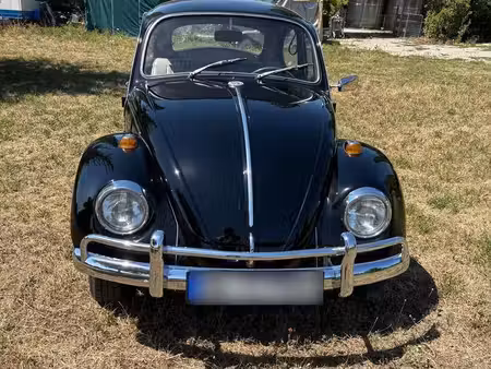 Volkswagen Beetle 