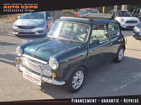 Rover Mini 1.3 53