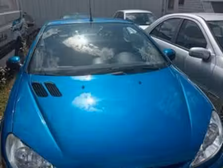 Peugeot 206 CC 1.6 110