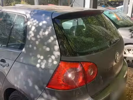 Volkswagen Golf 1.9 TDI 105