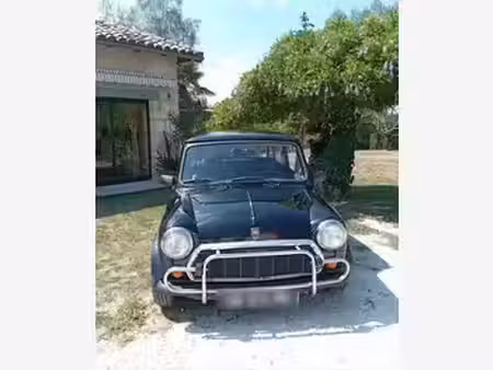 Rover Mini 1.3