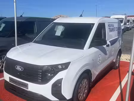 Ford Transit 1.5 100 Trend