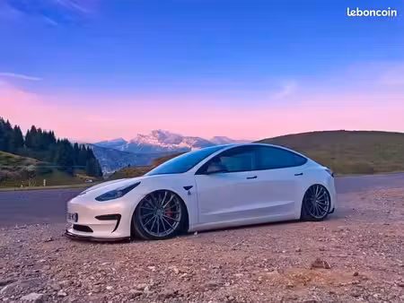 Tesla Model 3 Performance 482 PUP 4x4
