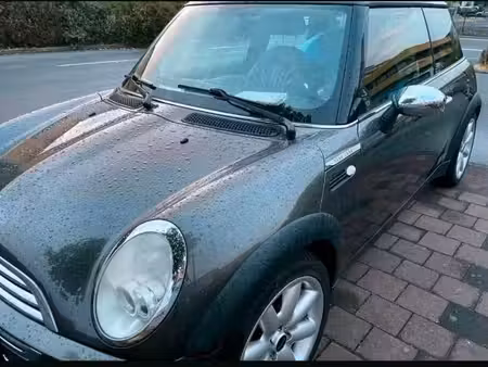 Mini Mini One