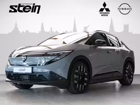 Nissan Leaf 217