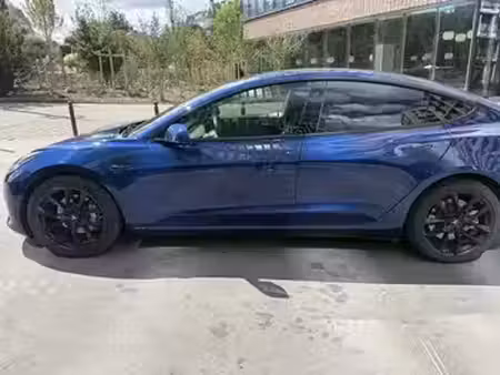 Tesla Model 3 Grande Autonomie 462 4x4