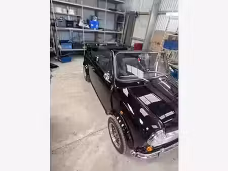Rover Mini 1.0