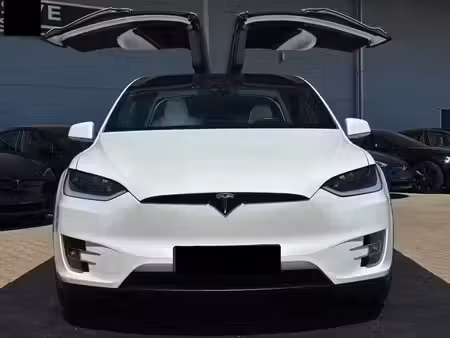 Tesla Model X 100d 670 4x4