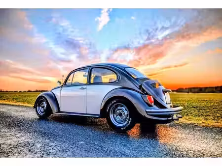 Volkswagen Beetle 1.8