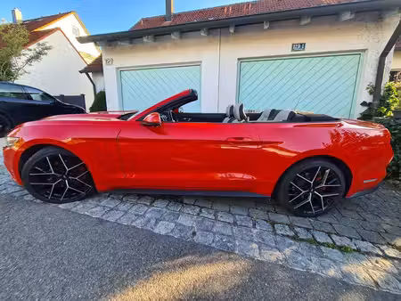 Ford Mustang 2.3 317