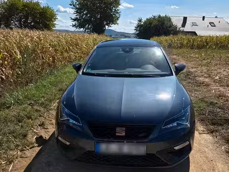 Seat Leon Cupra 290