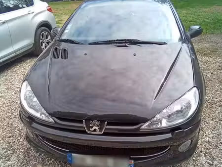 Peugeot 206 CC 1.6 110
