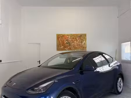 Tesla Model Y Standard 275