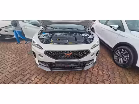 Cupra Formentor VZ5 2.5 TSI 390 4x4