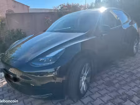 Tesla Model Y Standard 275