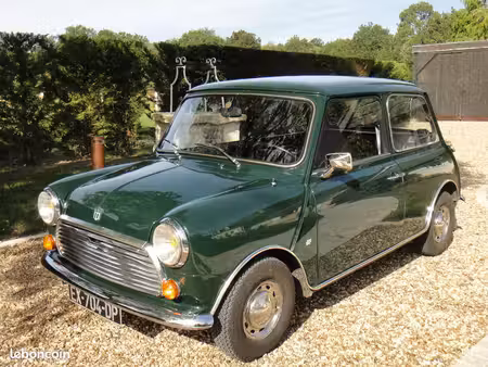 Mini Mini 