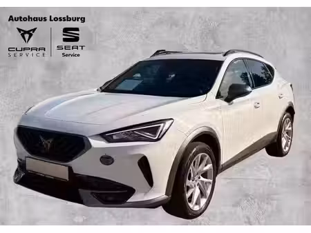 Cupra Formentor 2.0 TDI 150 4x4
