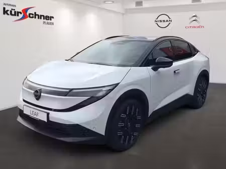 Nissan Leaf 217