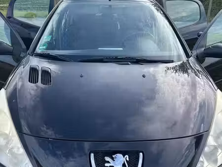 Peugeot 206+ 1.1 60