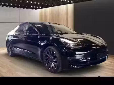 Tesla Model 3 Grande Autonomie 462 4x4