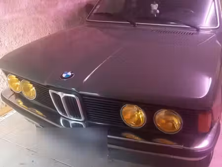 BMW Série 3 318i