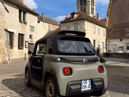 Citroën Ami Buggy 8