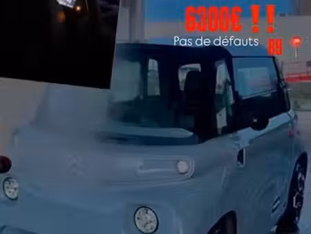 Citroën Ami 8