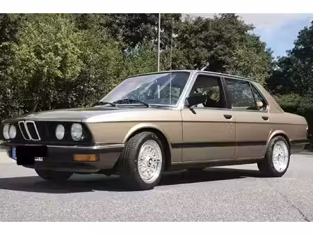 BMW Série 5 520i