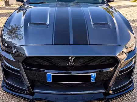 Ford Mustang Fastback