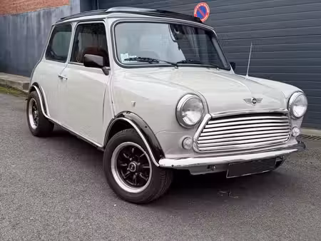 Rover Mini 1.3 53