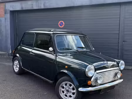 Rover Mini 1.3 53