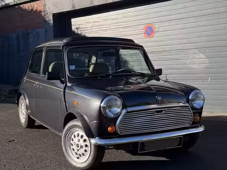 Rover Mini 1.3 53