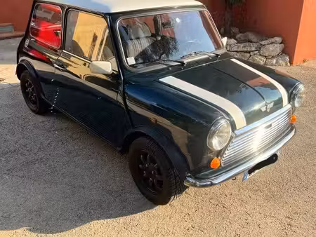 Rover Mini 1.3