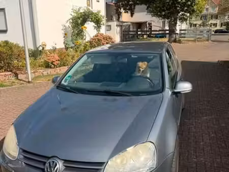 Volkswagen Golf 2.3 TDI 170 Carat
