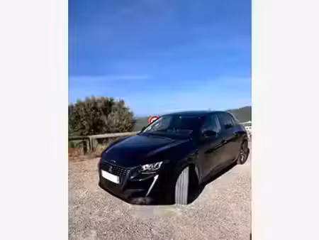 Peugeot 208 1.2 PureTech 100 Style