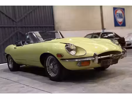 Jaguar Type E Collection