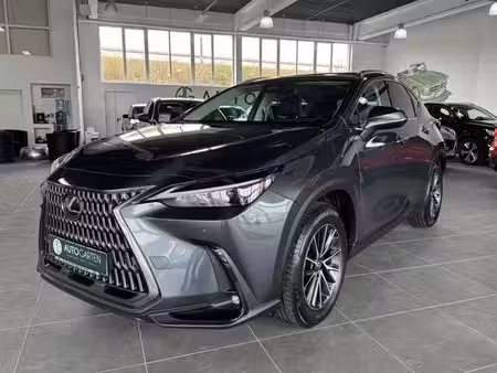 Lexus NX 2.5