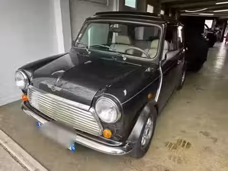 Rover Mini 1.3
