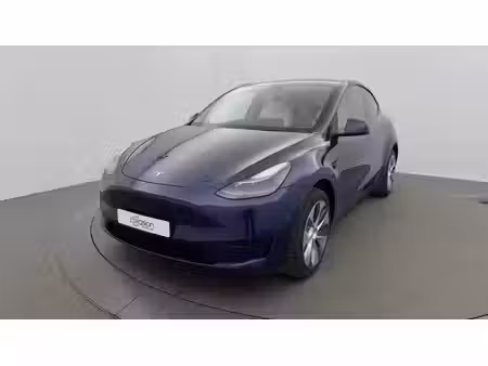 Tesla Model Y Standard 295