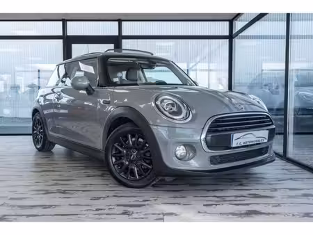Mini Mini One 1.5