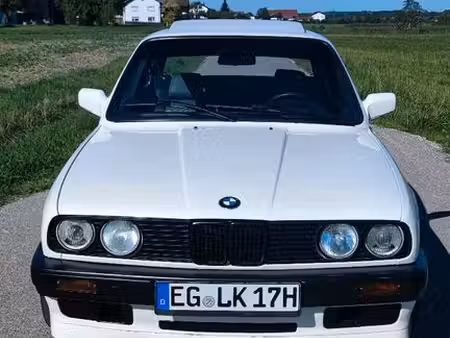 BMW Série 3 316i